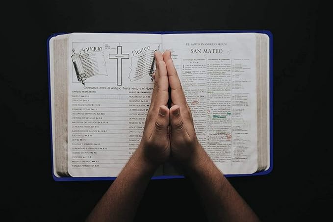 2 Pack Stretchable Book Sleeve Covers, for Paperbacks Hardcover Textbooks up to 9" x 12", Office Supplies with Free Sticker Labels (2 Pack, Red)