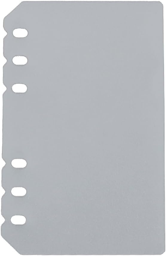 EvZ Transparent Flyleaf for 7 Inches Journal Organizer Diary A6 Notepad Notebook 6 Holes Ring Binder, Flexible Transparent, Set of 2Pcs