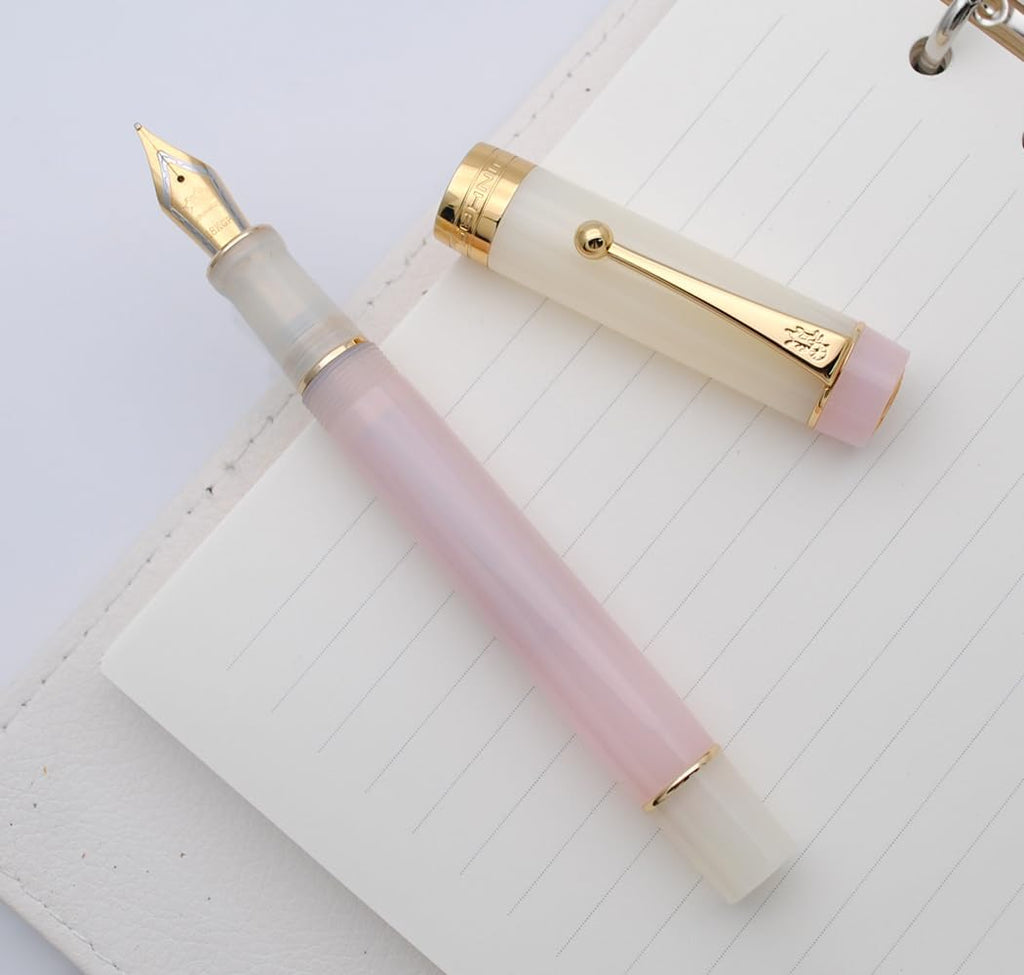 JINHAO 100 Fountain Pen with Ink Converter (Medium Nib 0.7mm, Light Pink)