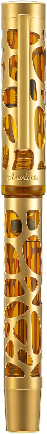 Asvine V169 Vacuum Filling Fountain Pen Medium Nib, Water Drop Skeleton Gold Trim Transparent Coffee Acrylic Pen Case Set