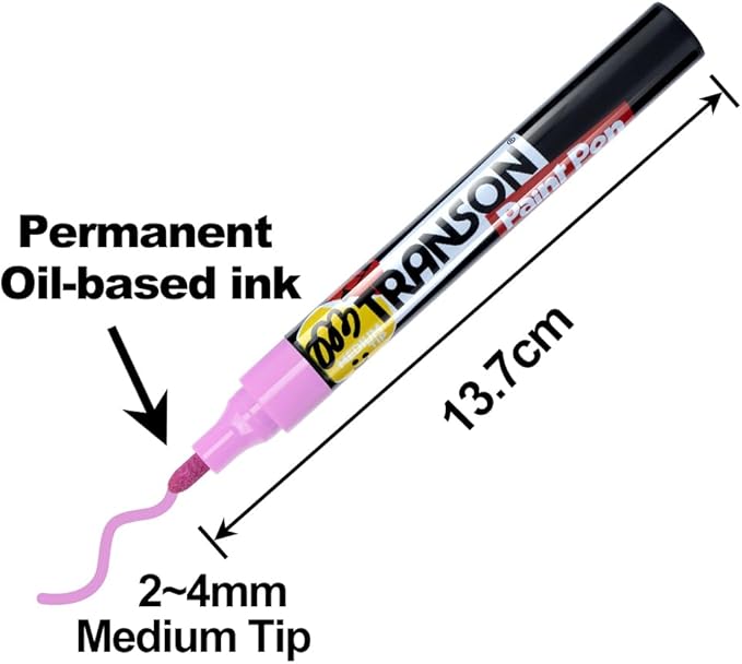 TRANSON 12 Colors Paint Markers for Fabric Rock Craft Diy Painting Medium Tip Oil Based Waterproof