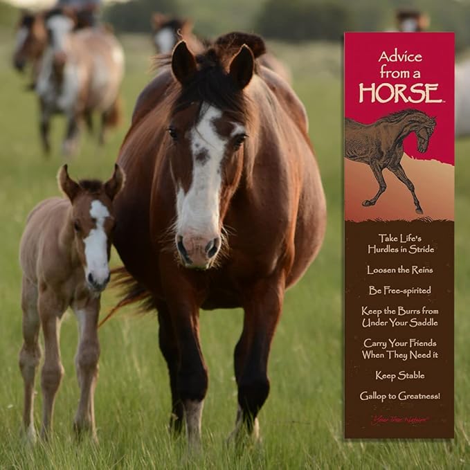 Advice from Nature 3 Bookmark Farm Set, Laminated with Glossy Finish, Printed on Recycled Paper - Barn, Horse, Dog (AMBM-Farm)