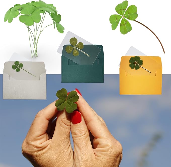Genuine Real Four Leaf Clover Card Bookmark, Five Leaf Clover Card, Good Luck Gift Card, Invitation Card in Envelope, Good Luck Charm Deco (5 Leaf Clover)