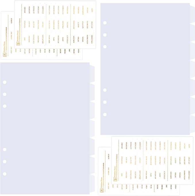 DY.2ten Clear Binder Dividers for 6-Holes Ring Binder, 1/7 Cut Tabs, A5 Size, Sturdy Plastic Dividers with 7 Tabs for School Office Home, 2 Sets, 14 Dividers, 2 Tab Stickers.