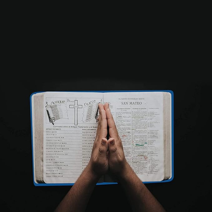 2 Pack Stretchable Book Sleeve Covers, for Paperbacks Hardcover Textbooks up to 9" x 12", Office Supplies with Free Sticker Labels (2 Pack, Light Blue + Blue)