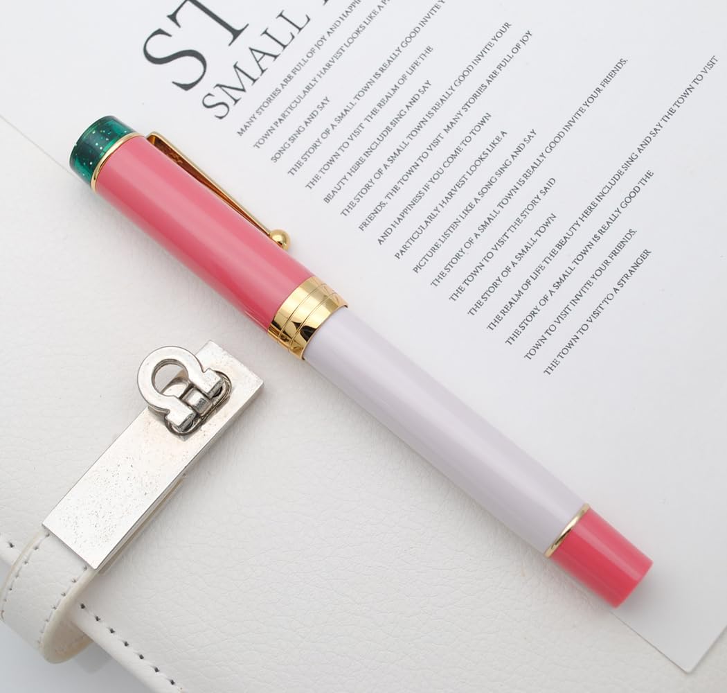 JINHAO 100 Fountain Pen with Ink Converter (Medium Nib 0.7mm, Guava)