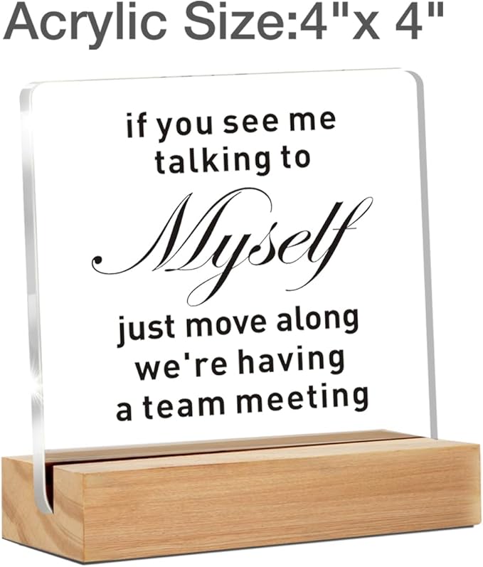 Funny Office Decor for Women Men, Funny Desk Decor Sign, If You See Me Talking to Myself We're Having a Team Meeting Clear Decorative Acrylic Sign With Wooden Stand for Desk Table Shelf