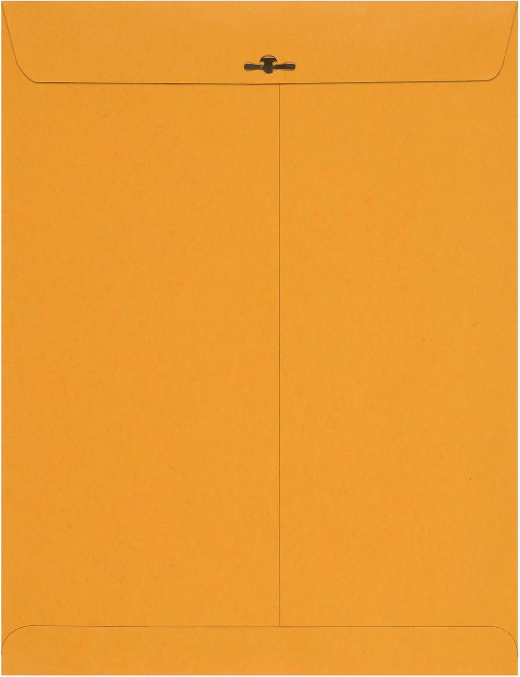 Amazon Basics Clasp Kraft Envelopes, Gummed Mailing Envelope, 10 x 13 inch, 100-Pack