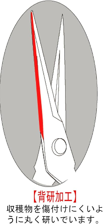 Harvesting Scissors T-500