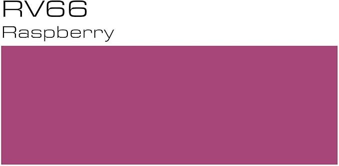 Copic Markers RV66-Sketch, Raspberry, 1 Count (Pack of 1)