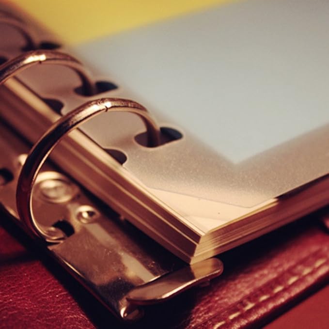 EvZ Transparent Flyleaf for 7 Inches Journal Organizer Diary A6 Notepad Notebook 6 Holes Ring Binder, Flexible Transparent, Set of 2Pcs