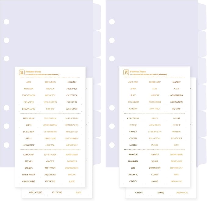 DY.2ten Clear Binder Dividers for 6-Holes Ring Binder, 1/6 Cut Tabs, A6 Size, Sturdy Plastic Dividers with 6 Tabs for School Office Home, 2 Sets, 12 Dividers, 2 Tab Stickers.