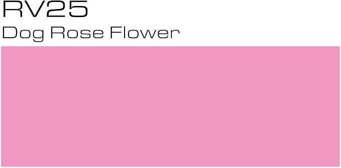 Copic Markers RV25-Sketch, Dog Rose Flower