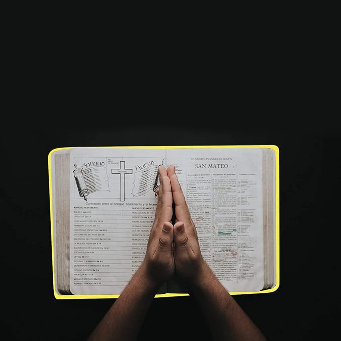 2 Pack Stretchable Book Sleeve Covers, for Paperbacks Hardcover Textbooks up to 9" x 12", Office Supplies with Free Sticker Labels (2 Pack, Black + Yellow)