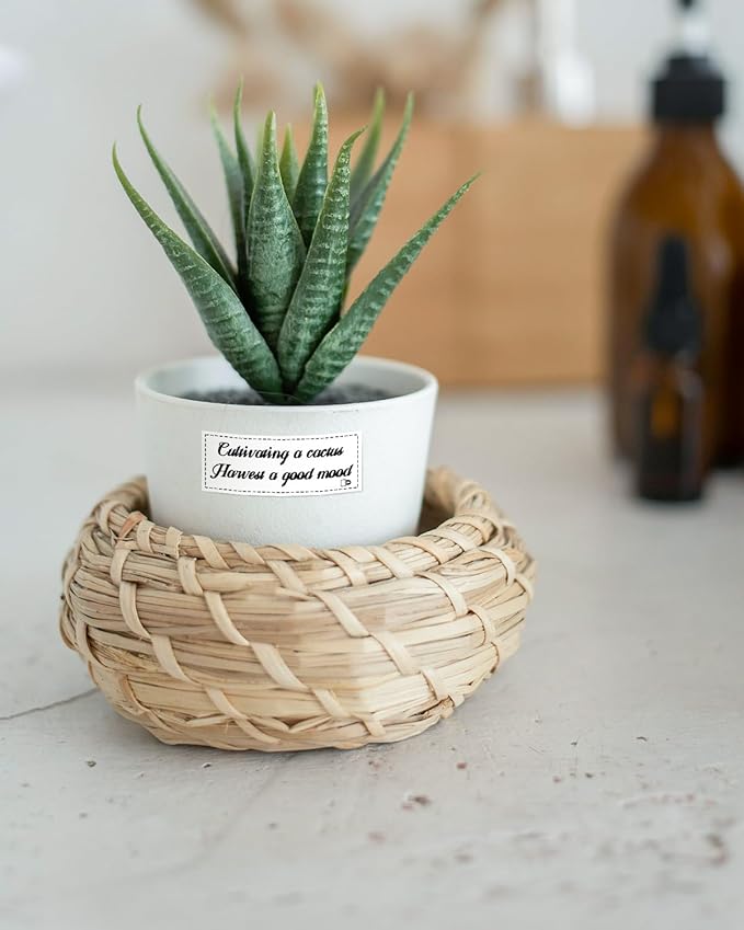 iEager Label Maker Tape, 15mm x 6m, White Continue Sticker Thermal Paper, Household Storage Labels for D30 Label Maker, Self-Adhesive Label Tape, Set of 3