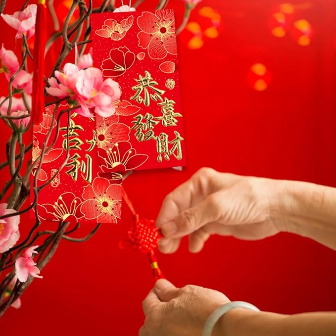 Chinese New Year Red Envelopes, Lunar New Year Envelopes, 36 Pcs Year of the Dragon Red Envelopes 2025, Lucky Money Envelopes, Red Pocket, 红包, Chinese Money Envelopes for Cash Wedding Birthday Gift