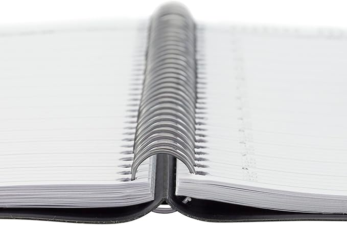 AT-A-GLANCE Planner 2024-2025 Academic, Monthly, 8" x 12", Large, Flexible Cover, DayMinder, Black (AY200)