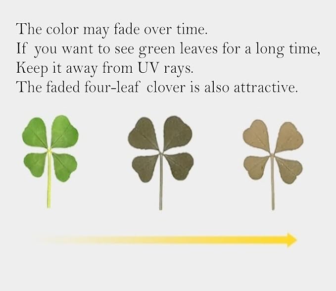 Genuine Real Four Leaf Clover Card Bookmark, Five Leaf Clover Card, Good Luck Gift Card, Invitation Card in Envelope, Good Luck Charm Deco (Four-Leaf Clover)