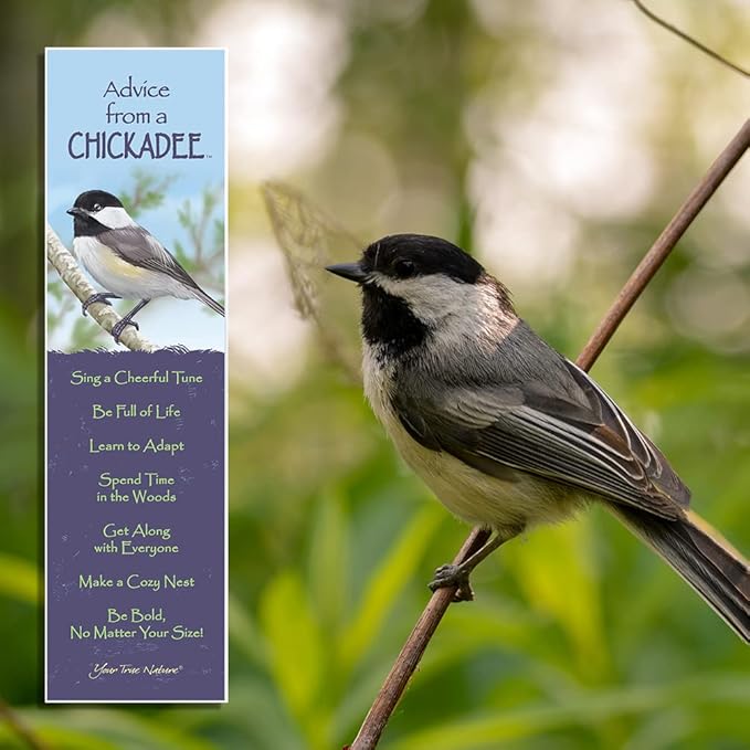 Advice from Nature 3 Bookmark Birds Set, Laminated with Glossy Finish, Printed on Recycled Paper - Cardinal, Chickadee, Bluebird (AMBM-BIRDS)