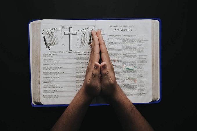 Purple Stretchable Jumbo Book Covers, Washable Reusable Book Protector fits Hardcover Textbooks up to 9" X 12" Office Supply with Free Sticker Labels (1 Pack, Purple)