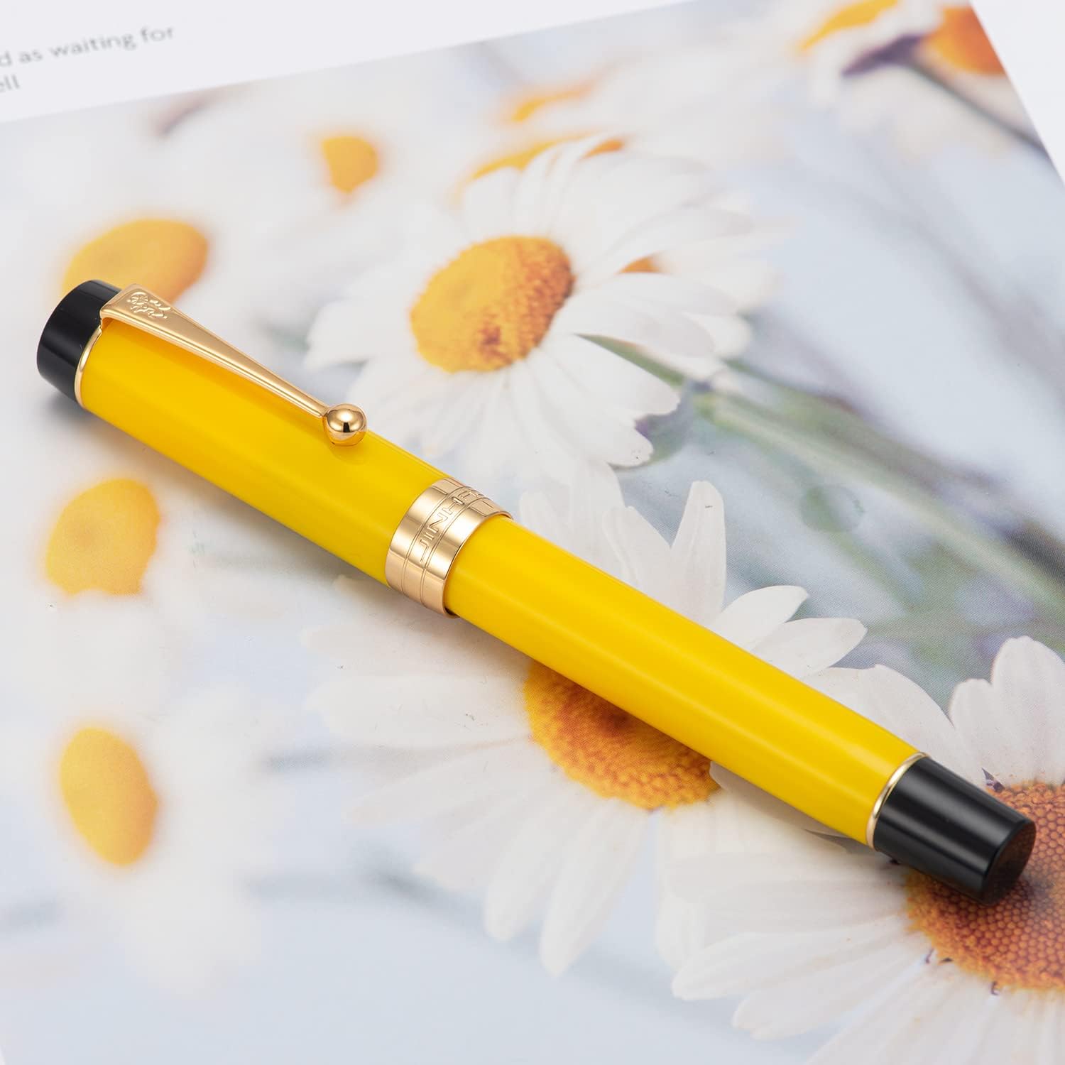 Jinhao 100 Fountain Pen Celluloid Classic Style, #6 Nib Smooth Writing Instrument with Refillable Converter and Pen Case Set