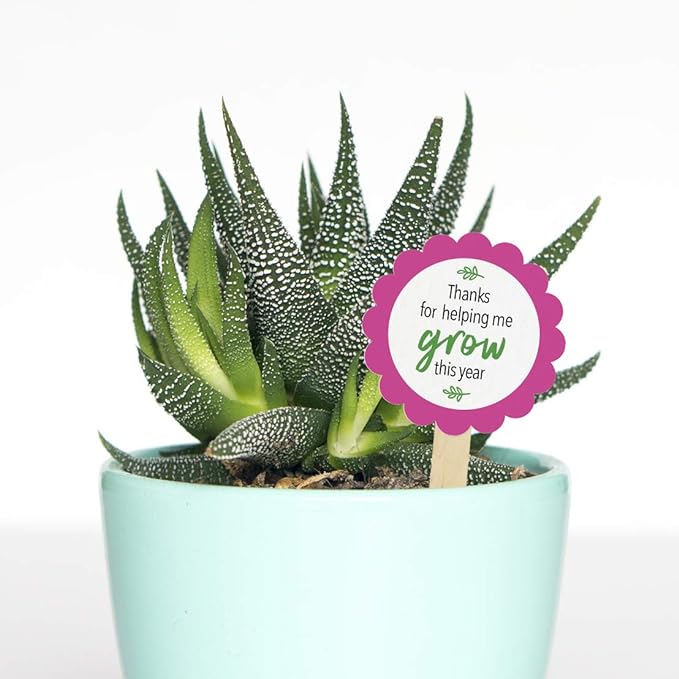 Printworks White Cardstock, Standard, 67 lb. Vellum, 92 Bright, 750 sheets, 8.5 x 11, For Office, Home & School Printing, Craft Projects