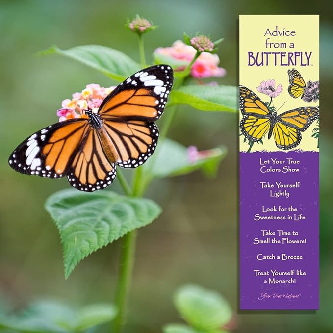 Advice from Nature 3 Bookmark Beauty Set, Laminated with Glossy Finish, Printed on Recycled Paper - Butterfly, Hummingbird, Sunflower (AMBM-BEAUTY)