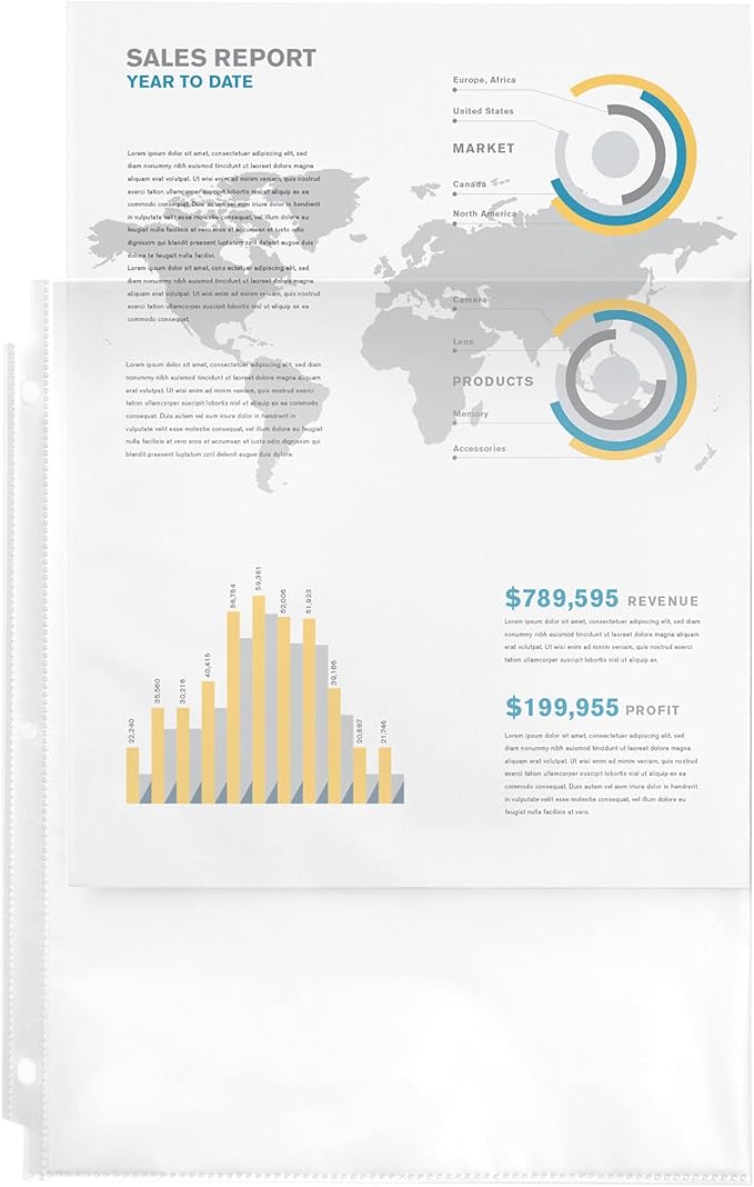 Avery Semi-Clear Standard Weight Sheet Protectors for 3 Ring Binders, Top Load, 2 Packs, 200 Page Protectors Total (46021)