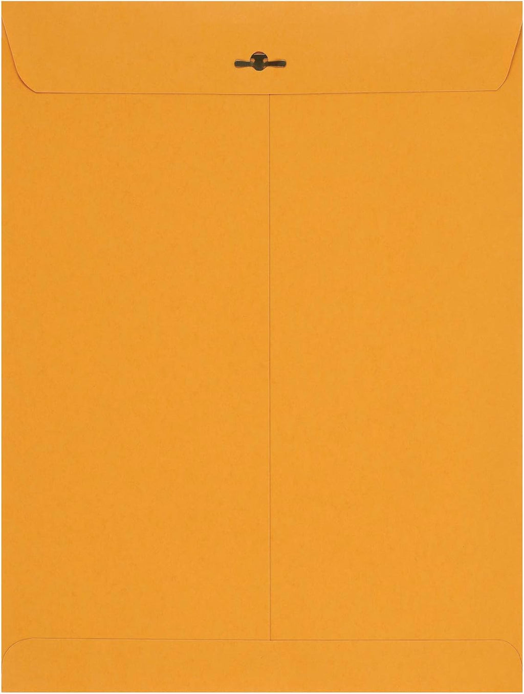 Amazon Basics Clasp Kraft Envelopes, Gummed Mailing Envelope, 9 x 12 inch, 100-Pack