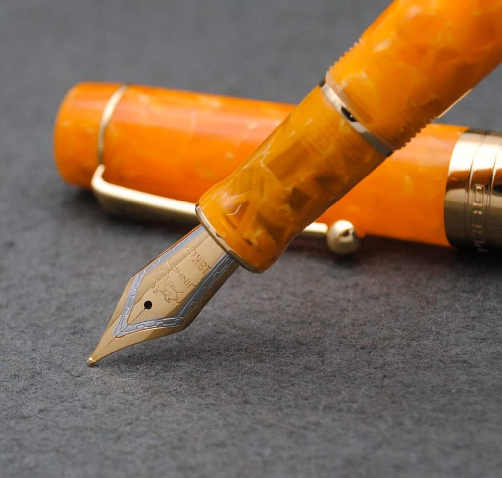 JINHAO 100 Fountain Pen with Ink Converter (Medium Nib 0.7mm, Gold Stone)