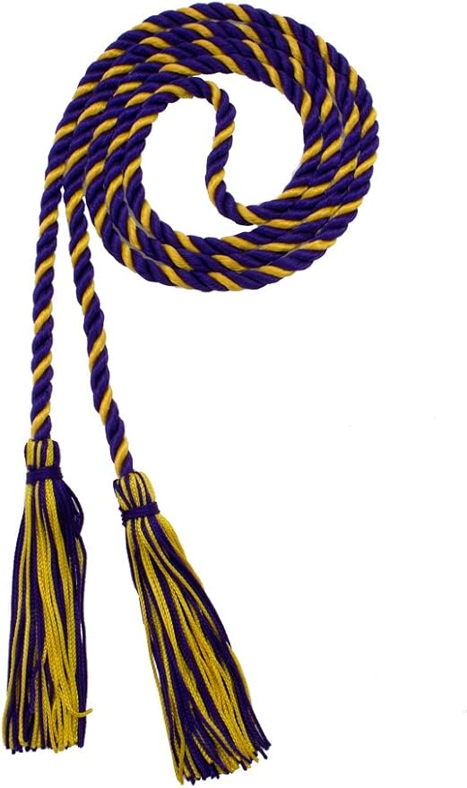 Tassel Depot Graduation Honor Cord - Purple/Gold - Every School Color Available - Made in USA