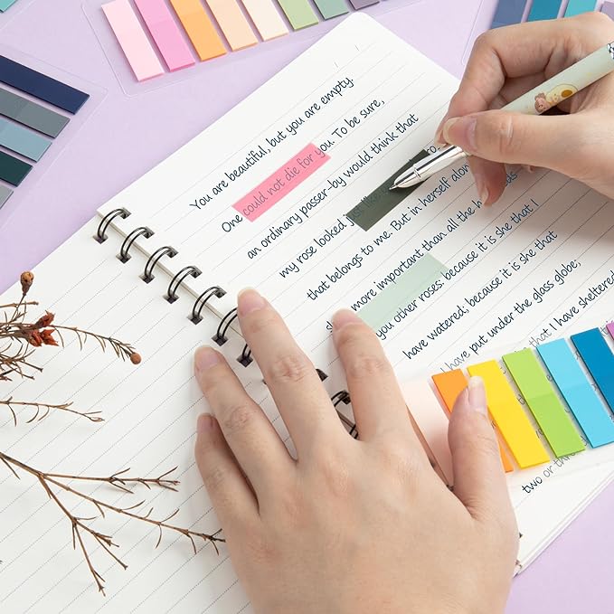 ZTML MS 6000 Pcs Morandi Sticky Tabs, 30 Sheets Book Tabs for Annotating Books, Page Flags Annotation Tabs, Page Markers, Colorful Book Annotating Tabs, Sticky Flags, Transparent Sticky Note Tabs