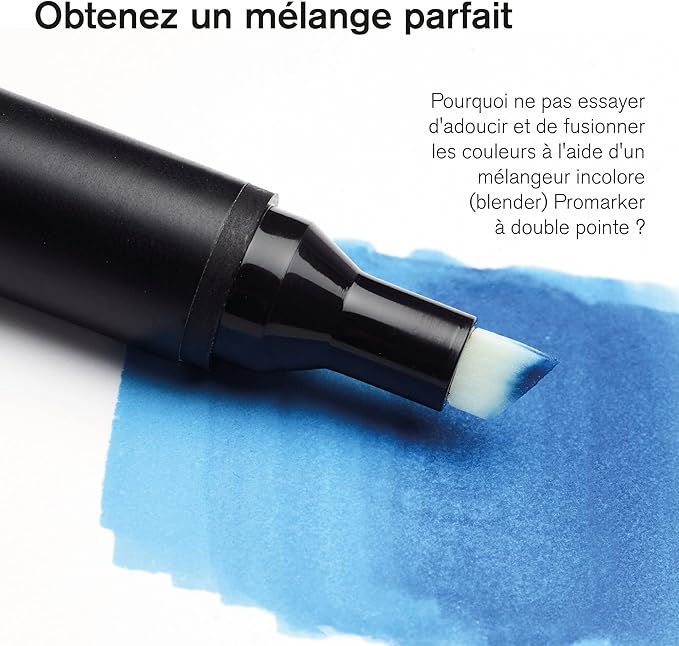 Winsor & Newton ProMarker Set, 12 Count, Skin Tones