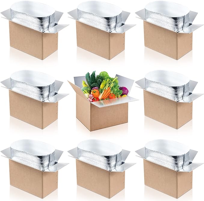 Nuanchu 10 Pieces Double Insulated Mailing Boxes with Aluminum Foil Insulated Bag Liner Cooler Small Mailing Box for Mailing Frozen Food Cold Mailing Boxes for Mailing Packing Moving, 9" x 5" x 6"