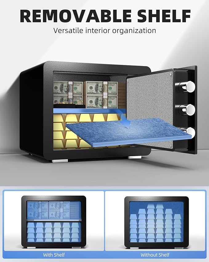 DAYI Biometric Fingerprint Safe Box, 0.8 Cubic Feet Home Safes with Fireproof Bag, Digital Touchpad Security Safe for Money Cash Documents, Dual Alarm System - DF-25 Plus
