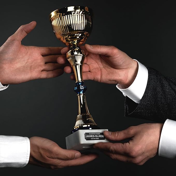 Therwen 30 Pcs Name Plates Laser Engraved Brushed Stainless Steel Plate Personalized Plaque Blank Custom Name Tag Frame Label with Adhesive Backing(Black Multi Shape,1''x 3'')