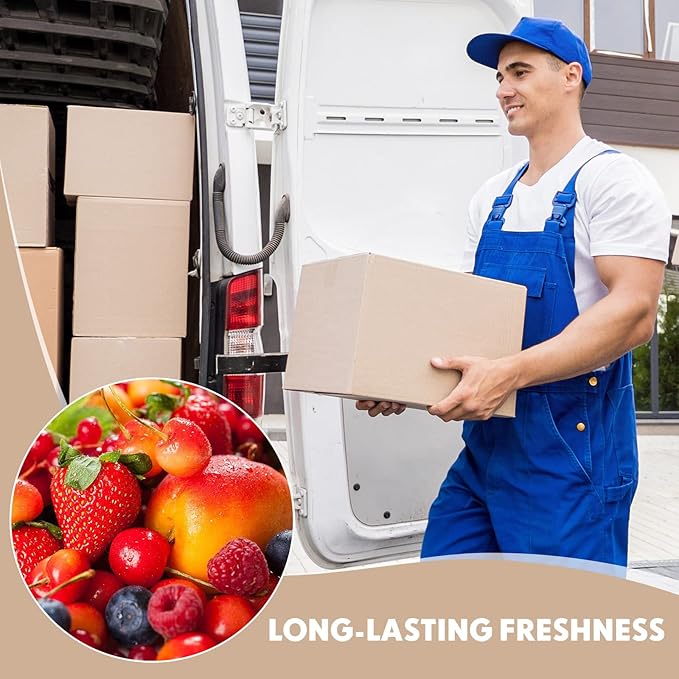 Nuanchu 20 Pieces Double Insulated Mailing Boxes with Aluminum Foil Insulated Bag Liner Cooler Small Mailing Box for Mailing Frozen Food Cold Mailing Boxes for Mailing Packing Moving, 9" x 5" x 6"