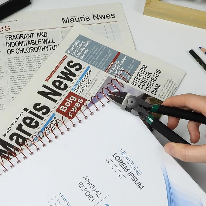 Rayson 15.9mm Spiral Metal Coil for Binding, 4:1 Pitch, 48-Loops, 5/8" Metal Coils Binding 140 Sheets Capacity, Multicolor & Pack of 100