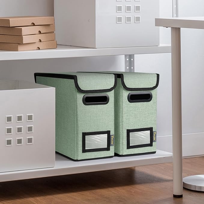 BALEINE File Organizer Box with Lid, Collapsible File Folder Organizer with Plastic Slide, Hanging File Folder Box for Office Document Storage (2 Pack, Green, S)