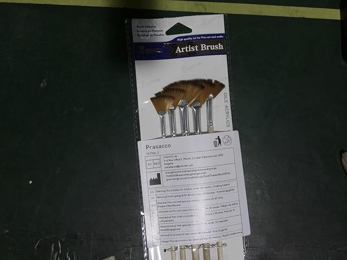 Prasacco 5 Pieces Fan Brush for Painting, Oil Acrylic Paint Brushes Artist Fan Brushes Nylon Hair Long Wood Handle Painting Brush for Acrylic Watercolor Oil Gouche Painting (2/4/6/8/10#)