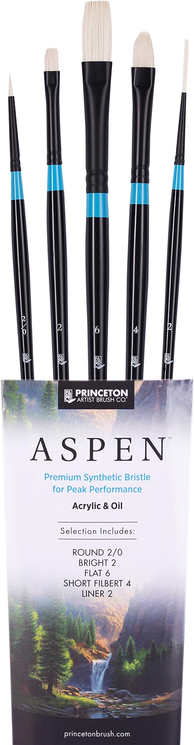 Princeton Aspen 6500 5pc Professional Paint Brushes - Princeton Acrylic Brushes - Synthetic Oil Painting Brush for Oil Acrylic & Gouache - Filbert Striper Flat & Round Set of Art Brush