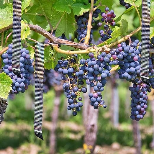 Self-Adhesive Holographic Reflective Tape for Craft Project, DIY Art, Home Decoration, Holiday Packing, etc, 2 Inches by 164 Feet