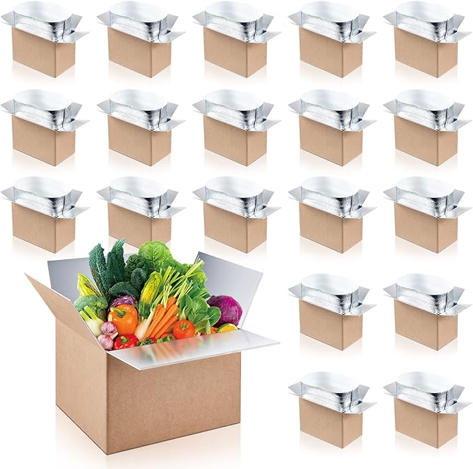 Nuanchu 20 Pieces Double Insulated Mailing Boxes with Aluminum Foil Insulated Bag Liner Cooler Small Mailing Box for Mailing Frozen Food Cold Mailing Boxes for Mailing Packing Moving, 9" x 5" x 6"