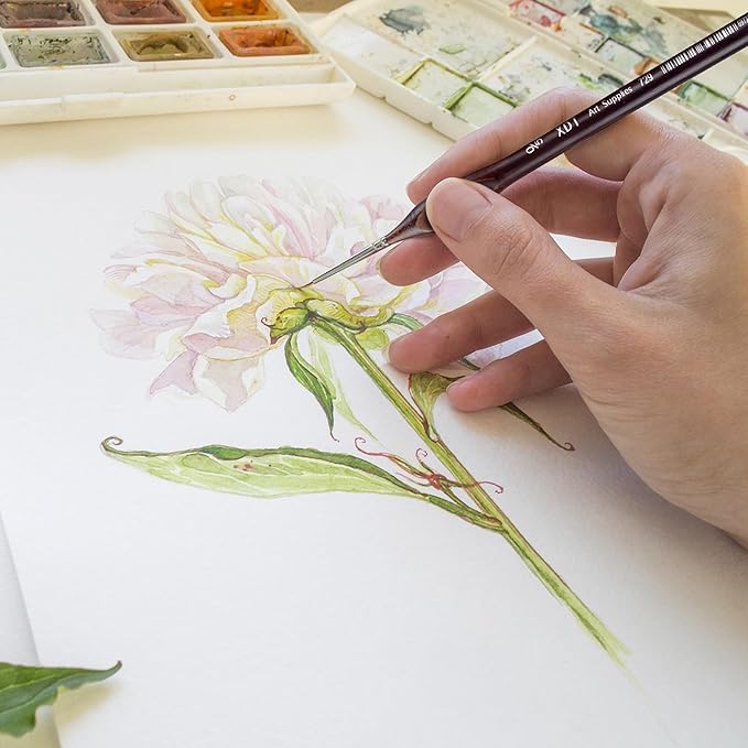 XDT#729 Micro Detail Paint Brush Artist Pin Point Painting Brushes 5 Piece #00000 Set，Acrylic Watercolor Oil, Fine Detailing Painting, Art, Scale Models, Easy Grip Triangular Handles