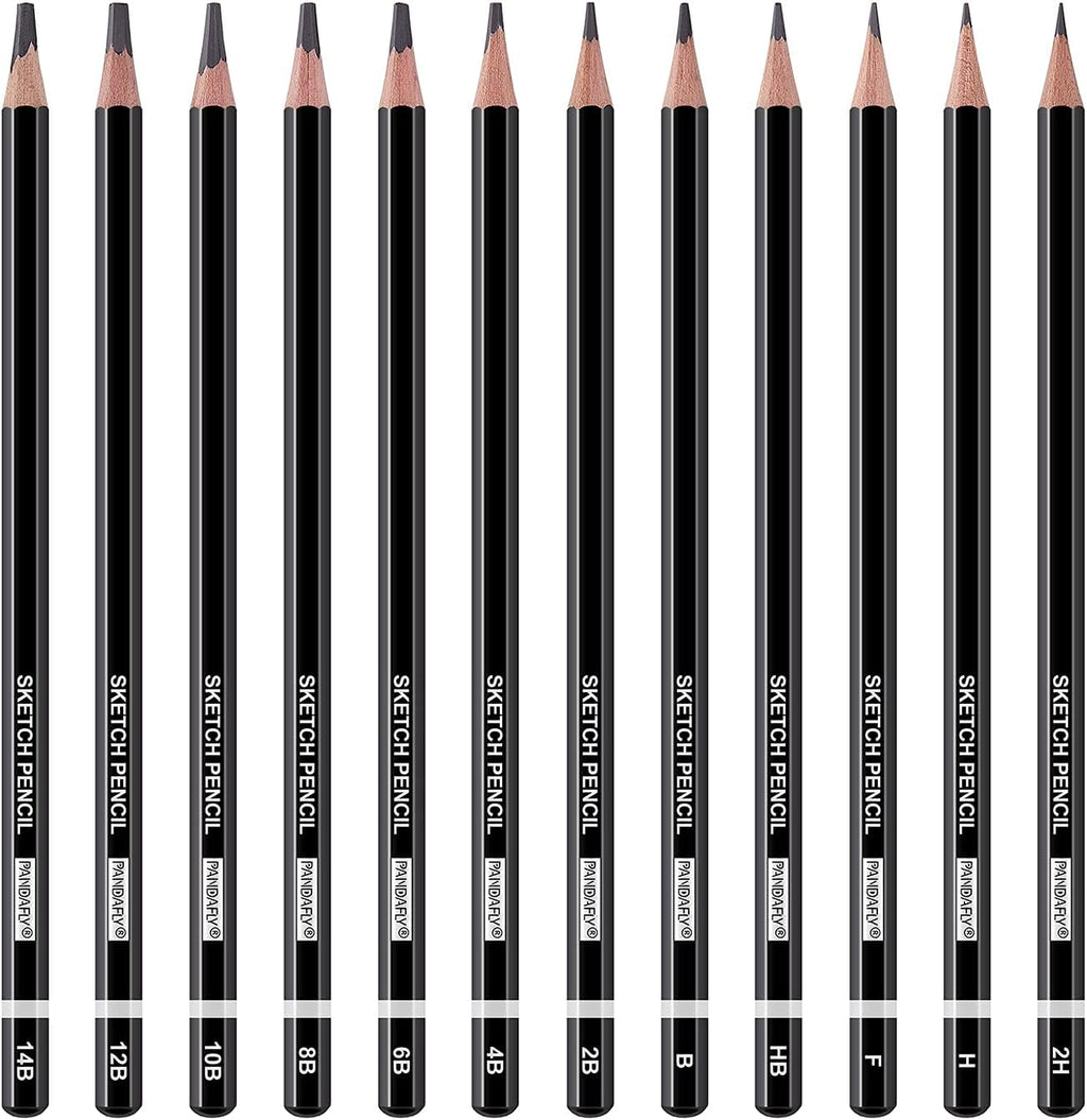 PANDAFLY Professional Drawing Sketching Pencil Set - 12 Pieces Graphite Pencils(14B - 2H), Ideal for Drawing Art, Sketching, Shading, Artist Pencils for Beginners & Pro Artists