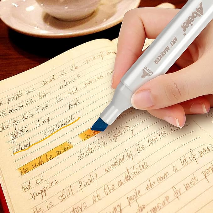 ABEIER 81 Colors Alcohol Markers Brush Tip, Brush & Chisel Dual Tip Sketch Markers for Artists, Plus 1 Blender Marker, Permanent Sketch Markers for Kids, Adults Coloring and Artist Illustration