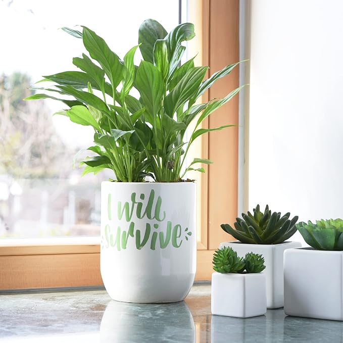 Uni-Posca Paint Marker Pen - Medium Point - Set of 15 (PC-5M15C)