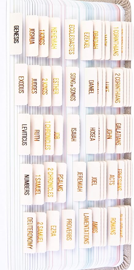 DiverseBee Laminated Bible Tabs (Copper Embossed Lettering), Bible Journaling Supplies, Bible Book Tabs, Christian Gift, 73 Bible Tabs for Women and Men, Includes 4 Blank Tabs (Alabaster)