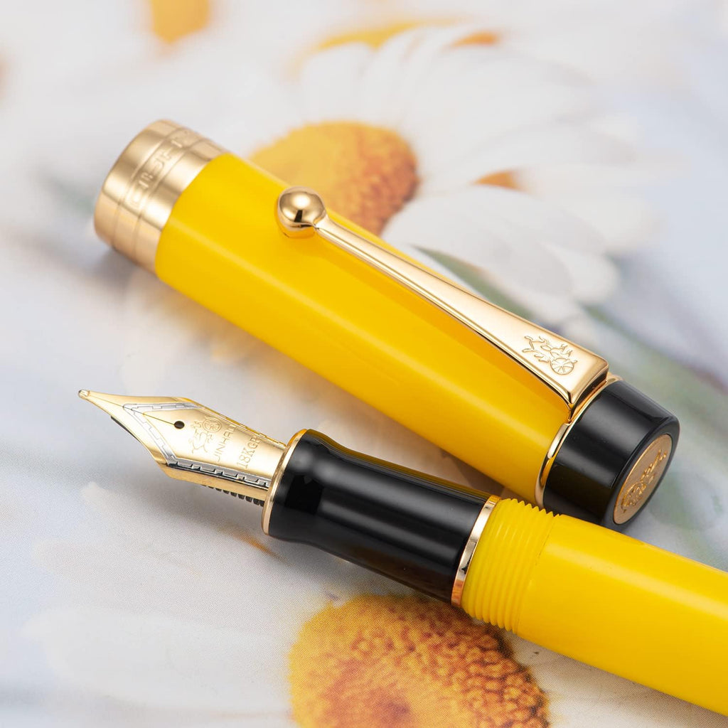 Jinhao 100 Fountain Pen Celluloid Classic Style, #6 Nib Smooth Writing Instrument with Refillable Converter and Pen Case Set