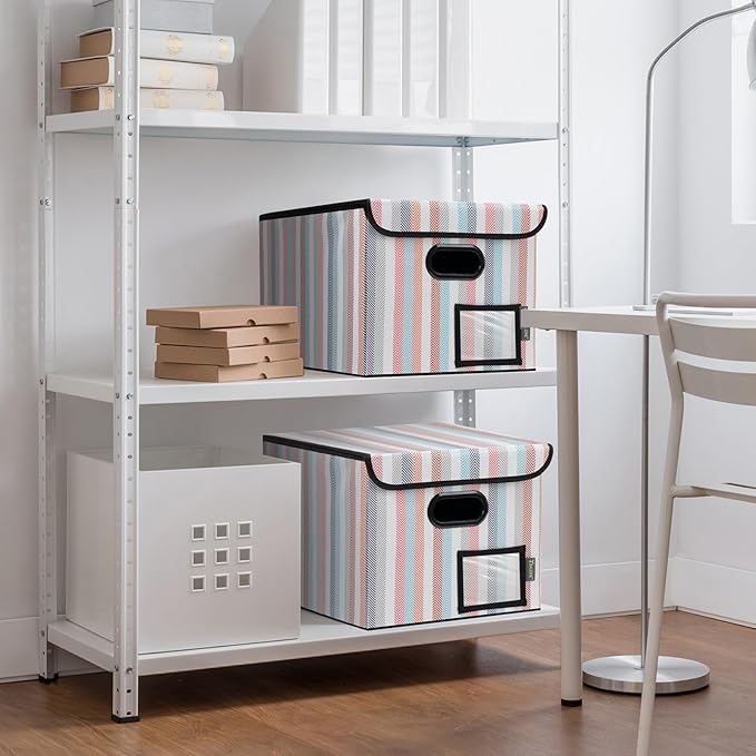 BALEINE File Organizer Box with Lid, Collapsible File Folder Organizer with Plastic Slide, Hanging File Folder Box for Office Document Storage (1 Pack, Color Stripe)